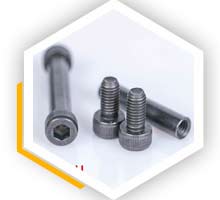 Monel k500 Screw