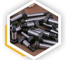 UNS S32205 F60 Shoulder Bolts